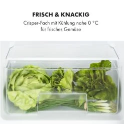 Big Daddy Cool Kühl-Gefrierkombination 61/25 Liter 2 Ebenen Edelstahl -Klarstein Verkaufsgeschäft 10034005 de 0005 logo