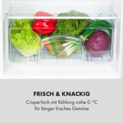 Cool Cousin Kühl-Gefrier-Kombination 70/11 Liter 40 DB -Klarstein Verkaufsgeschäft 10034547 de 0006 logo