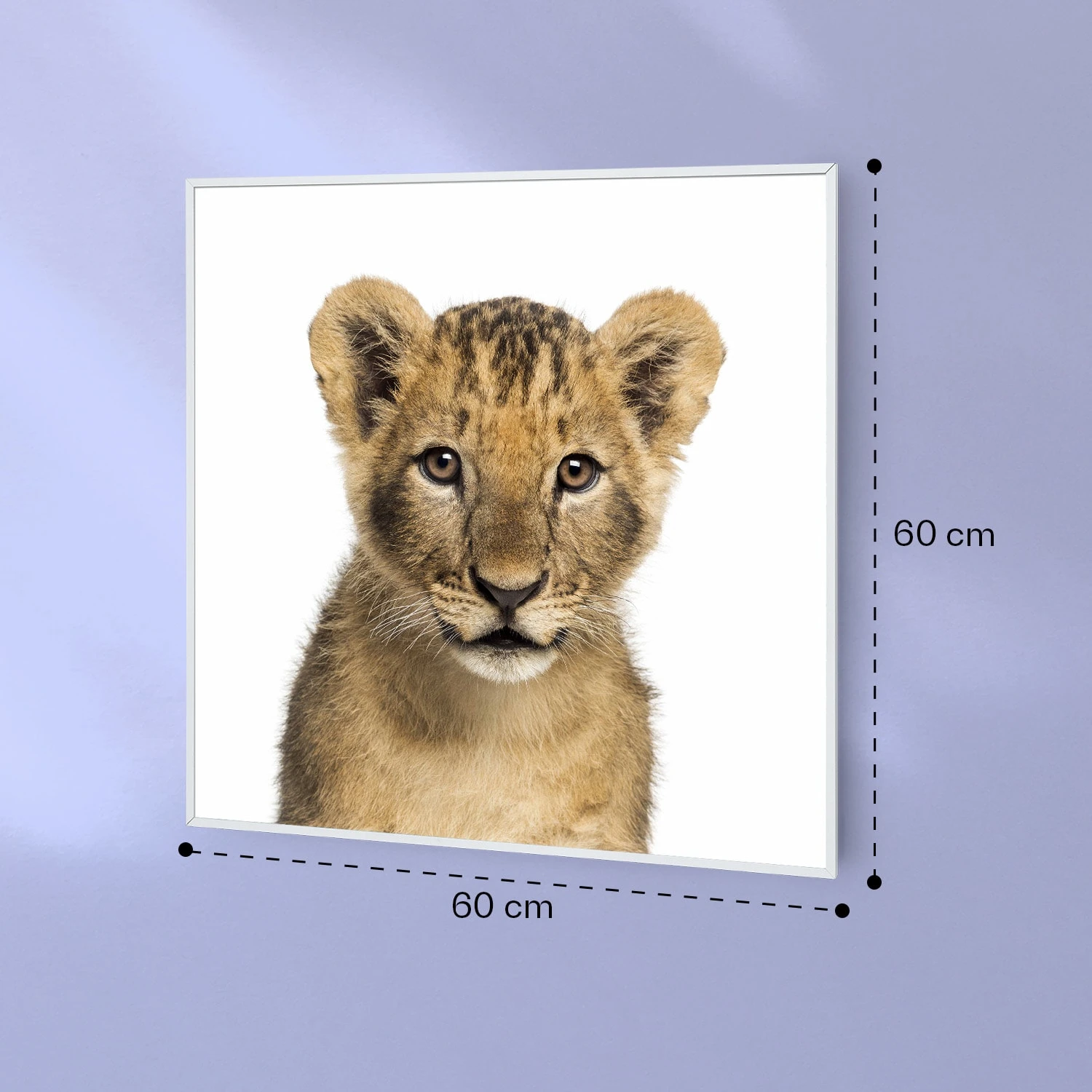 Wonderwall Air Art Smart Infrarotheizung Löwe 60x60cm 350W 9 Wonderwall Air Art Smart Infrarotheizung Löwe 60x60cm 350W – Bild 7