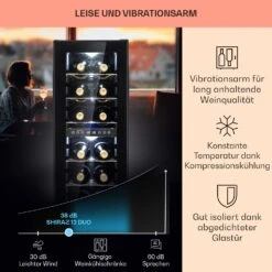 Shiraz 12 Duo Weinkühlschrank 2 Zonen 42L/12 Flaschen 5-12 / 12-18 °C Touch -Klarstein Verkaufsgeschäft 10041361 de 0004 usp